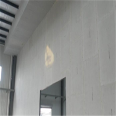 章贡宁波ALC板|EPS加气板隔墙与混凝土整浇联接的实验研讨